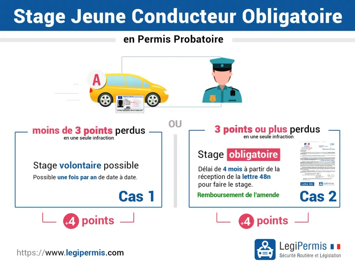 Le taux d'alcool autorisé pour un jeune conducteur en permis probatoire est implicitement abordé par les conséquences de la perte de points. L'image détaille les stages obligatoires ou volontaires selon le nombre de points perdus.