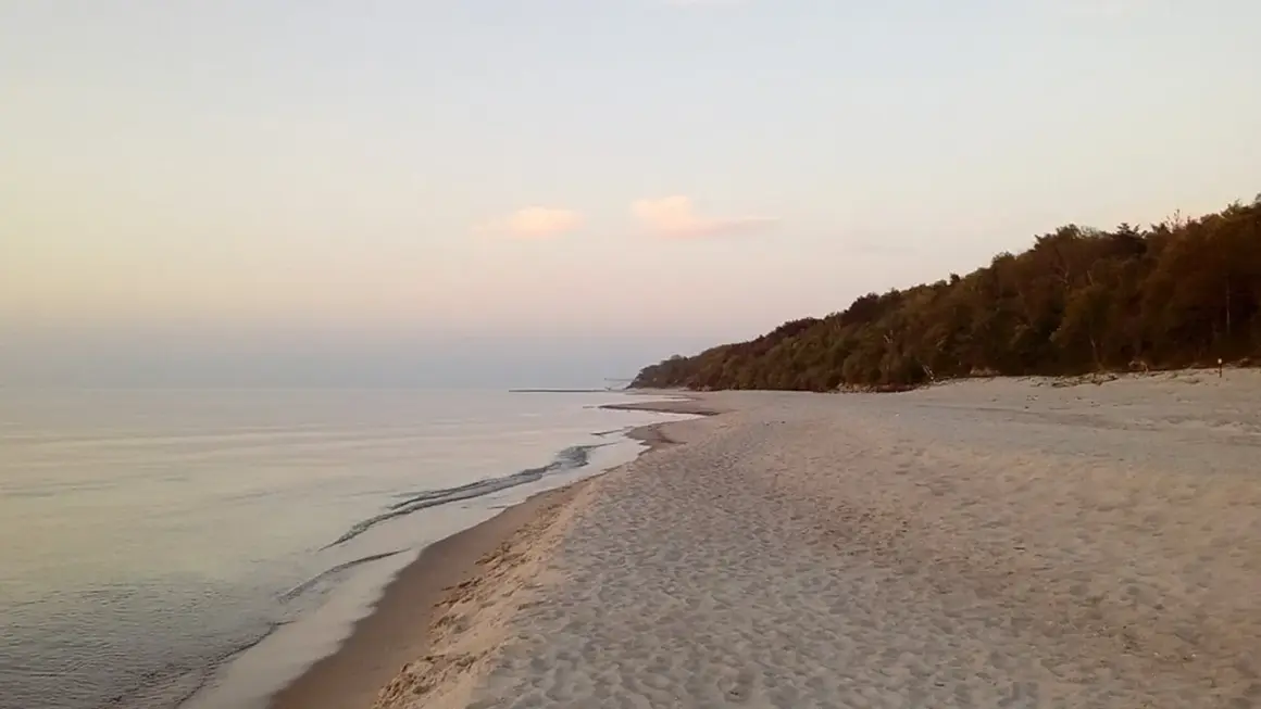 Spokojna plaża z piaszczystym brzegiem i lasem na wzgórzu. Idealne miejsce dla małych miejscowości nad morzem.