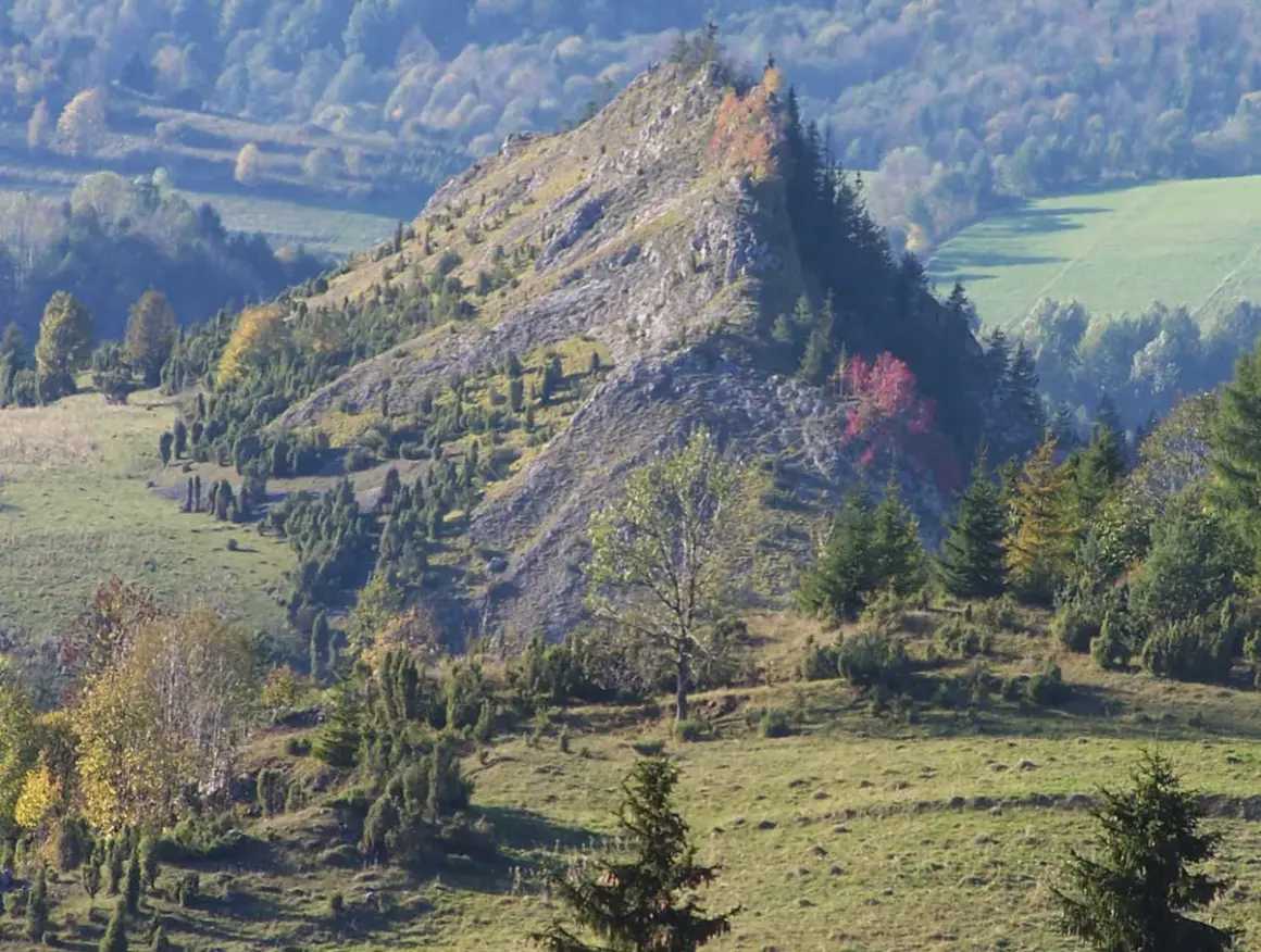 Rezerwat Biała Woda: Pieniny dla każdego? Odkryj szlak i bacówki!