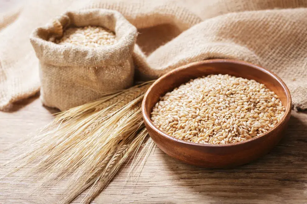 Czy kasza jęczmienna zawiera gluten? Dowiedz się, czy jest bezpieczna