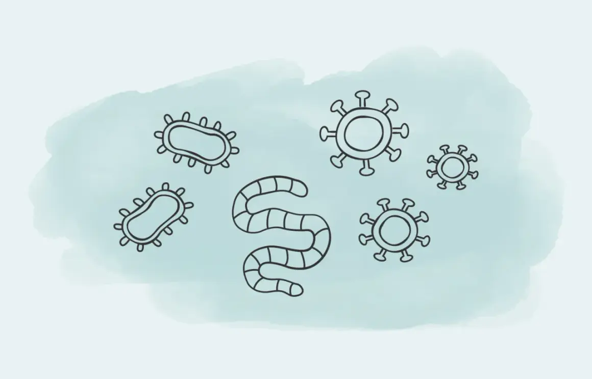 Bakterien, Viren und ein Wurm – Symbole für ansteckende Krankheiten, die uns alle betreffen können.