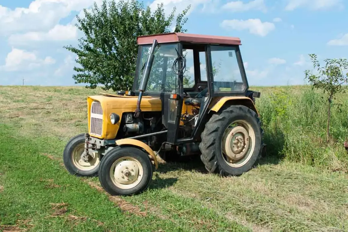 Żółty Ursus C-360 na łące. Zastanawiasz się, ile oleju do skrzyni C 360? Ten traktor czeka na pracę.