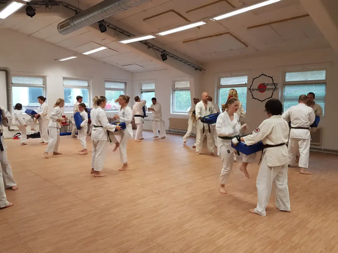 Goju ryu karate-utövare tränar sparkar och slag med kuddar i en dojo.