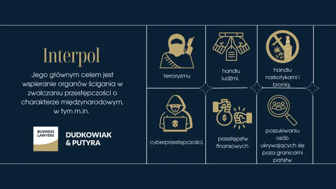 Interpol zwalcza terroryzm, handel ludźmi, narkotykami i bronią, cyberprzestępczość, przestępstwa finansowe i poszukuje osób ukrywających się za granicą, co stanowi międzynarodową sankcję.