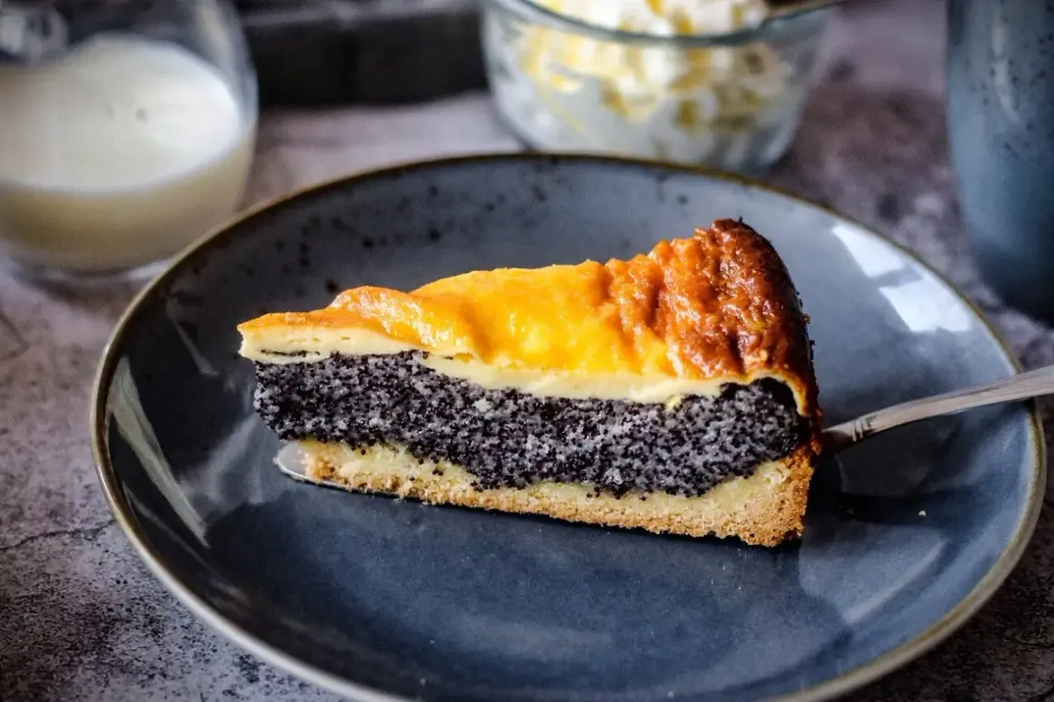Ein Stück Mohn Schmand Kuchen mit goldbrauner Kruste und cremigem Mohn.