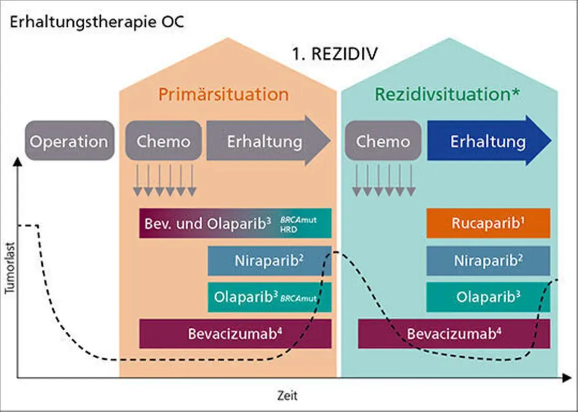 Schema zeigt Behandlung von Eierstockkrebs. Olaparib wird zur Heilung eingesetzt, sowohl in der Primärsituation als auch bei Rezidiven.