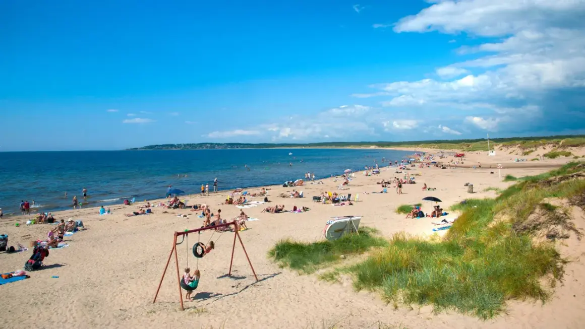 En solig strand i Halland fylld med badande och solande människor. Barn leker på en gunga nära sanddynerna.