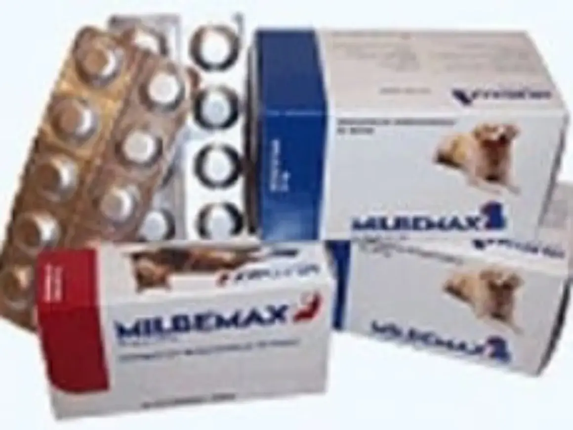Boîtes de Milpro chien et plaquettes de comprimés.