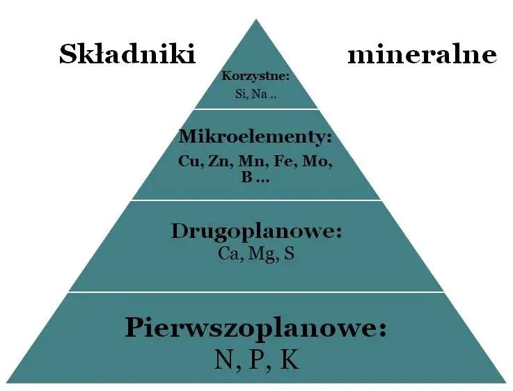 Minerały w których produkuje się nawozy fosforowe – kluczowe informacje i zagrożenia