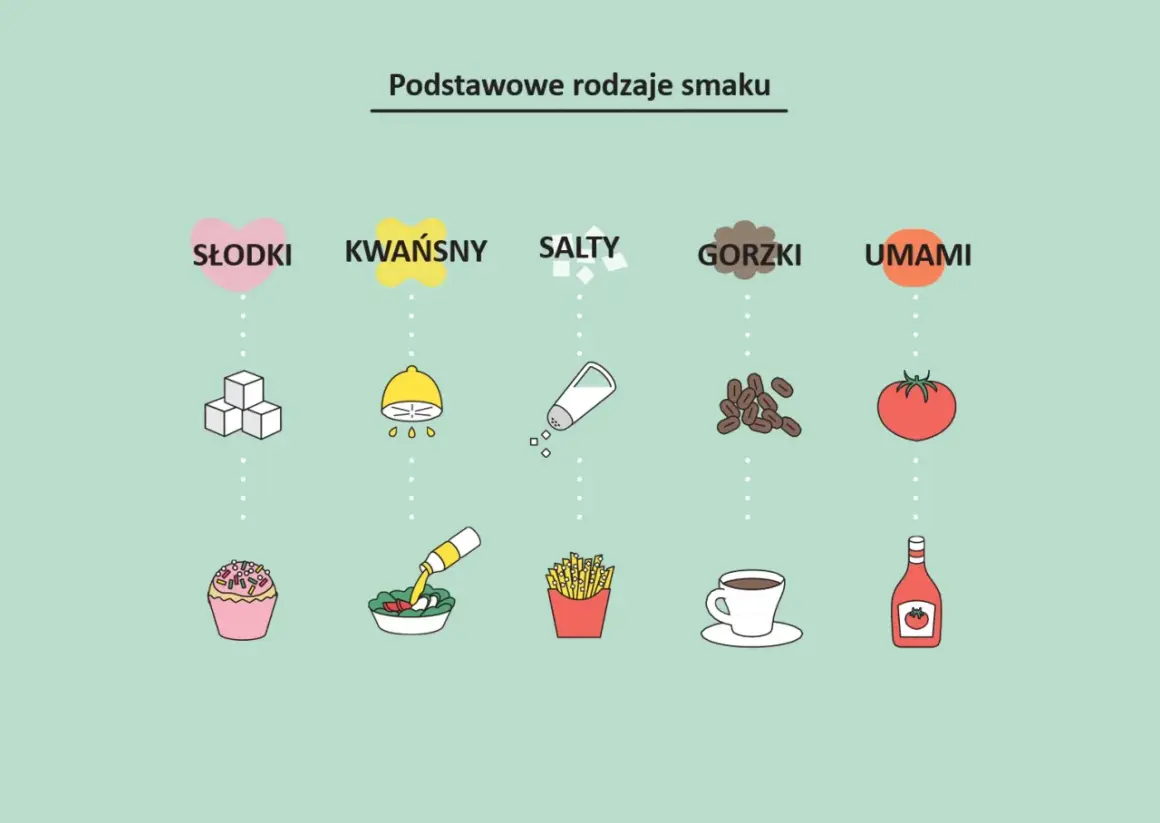 Podstawowe smaki: słodki (ciastko), kwaśny (sałatka), słony (frytki), gorzki (kawa), umami (pomidor, ketchup).