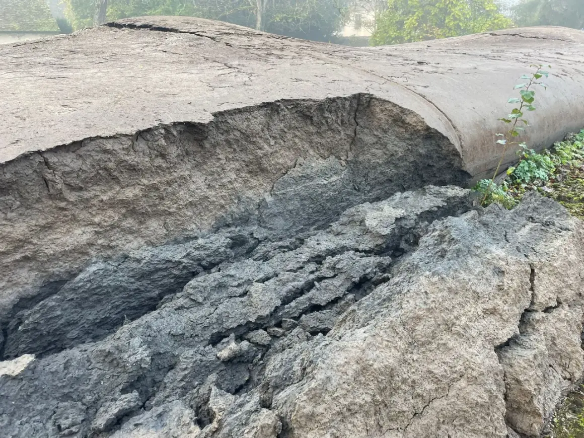 Le fond de l'étang révèle une terre craquelée et érodée, témoignant d'un assèchement spectaculaire.