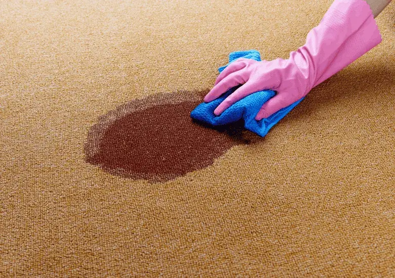 Vanish Gold Carpet Care: Instrukcja krok po kroku dla idealnego dywanu
