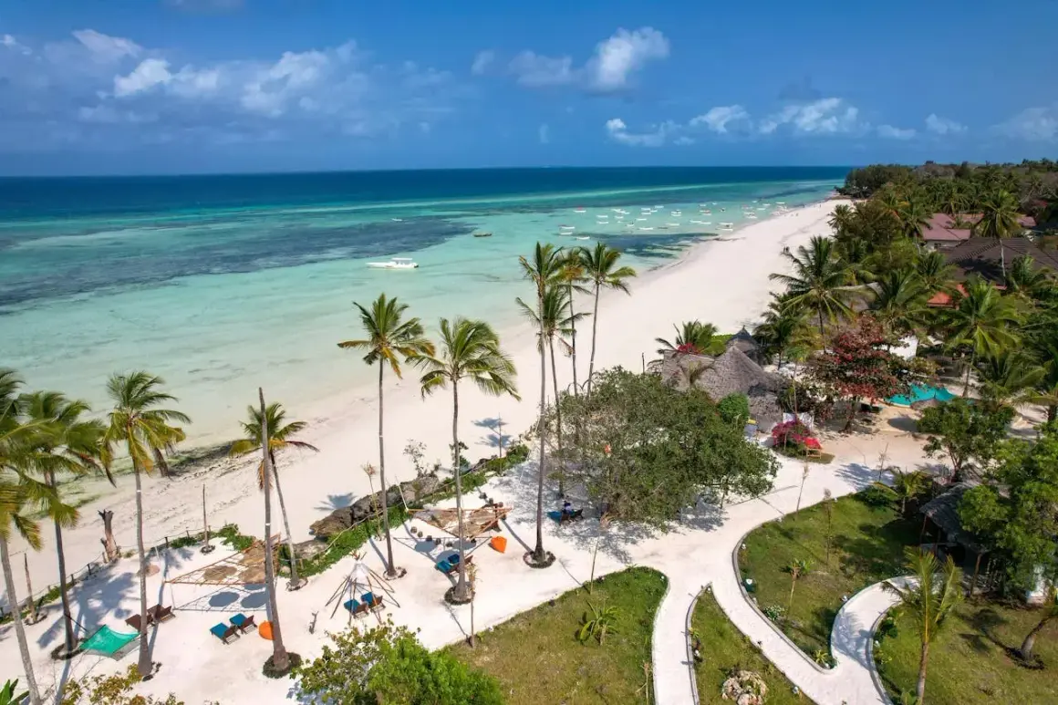 Rajska plaża z palmami i turkusową wodą. Idealne miejsce, by zapytać: kiedy najlepiej na Zanzibar?