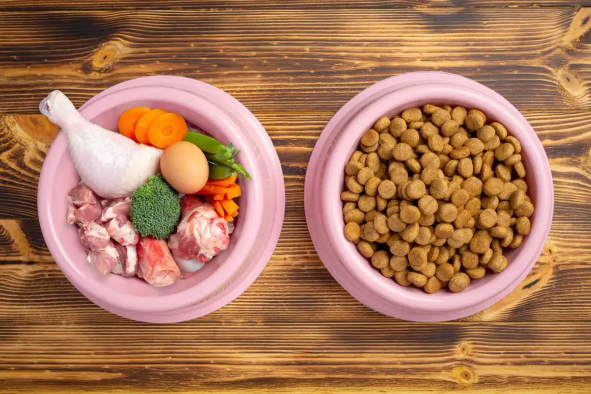 Dos tazones rosados sobre madera: uno con ingredientes para comida natural para perros (pollo, carne, huevo, zanahoria, brócoli) y otro con croquetas.