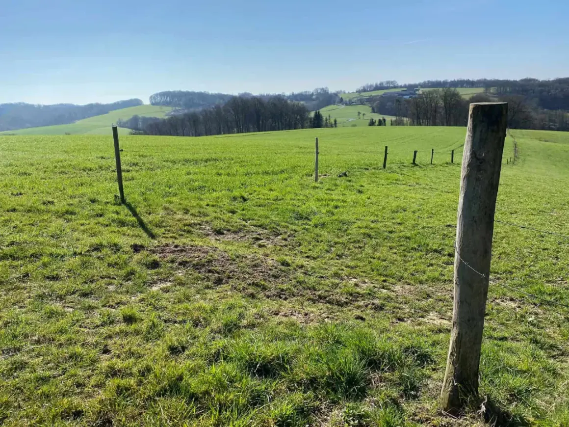 Grüne Hügel und ein sonniger Himmel laden zum **Naafbachtal wandern** ein. Ein Holzzaun markiert den Weg.
