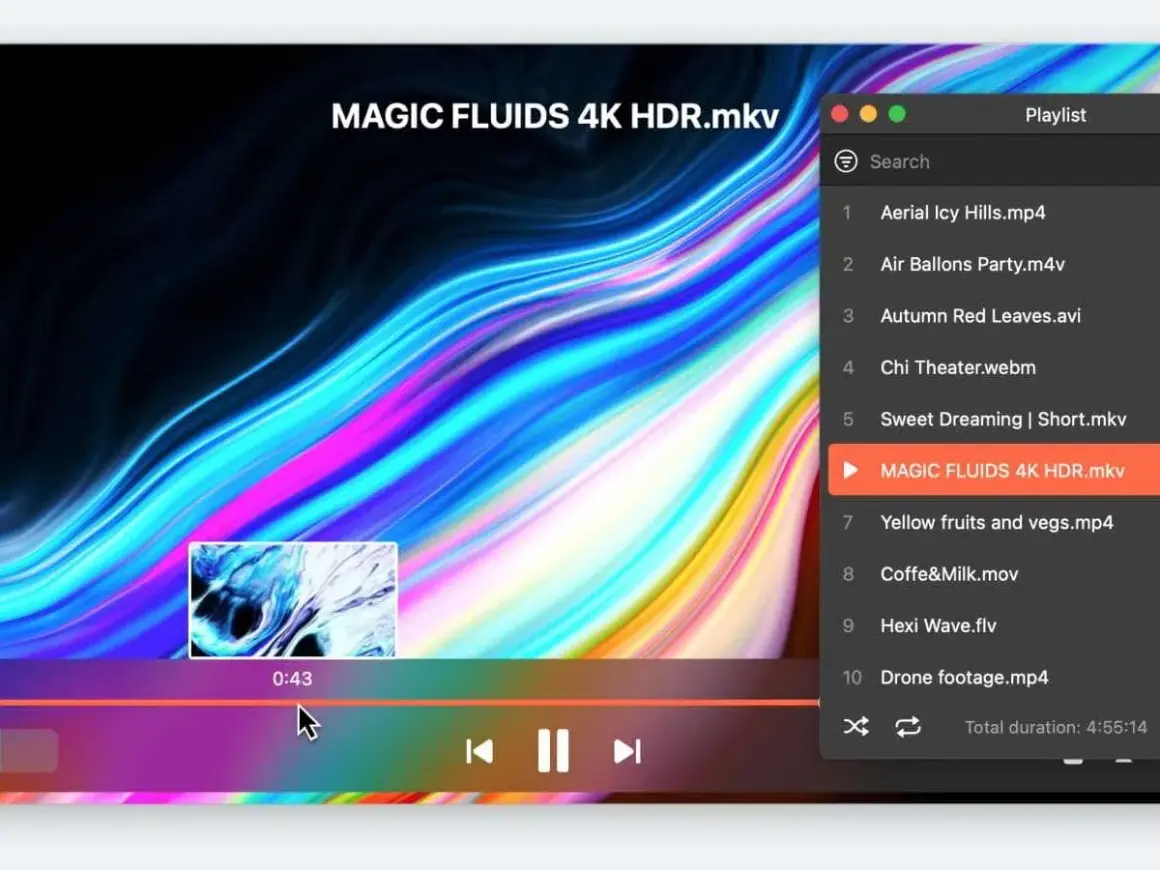 Playing MP4 on Mac is easy with this media player. The playlist shows various video files, including .mp4, .m4v, and .avi.