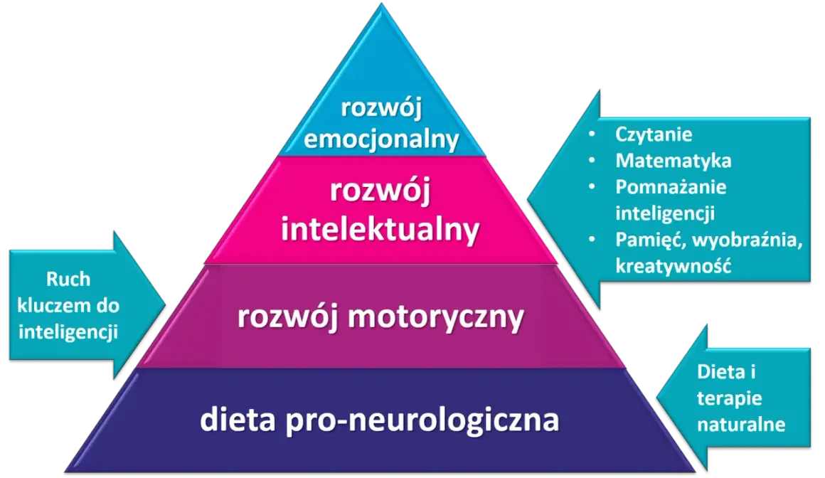 Piramida rozwoju: dieta, ruch, rozwój motoryczny, intelektualny i emocjonalny. To wszystko buduje co to jest wartość człowieka.