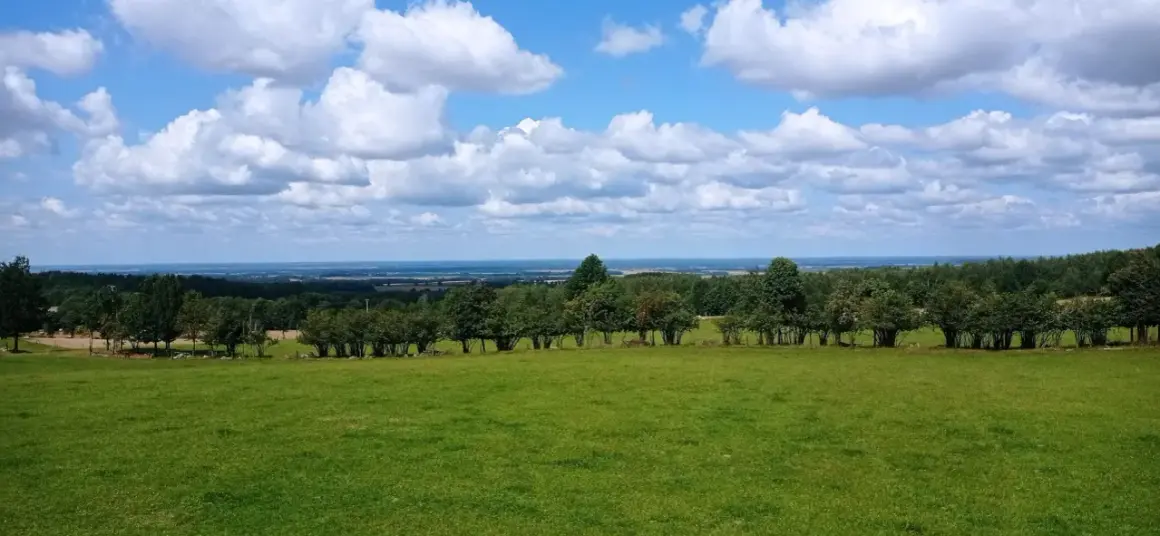 Zielona łąka i las na tle błękitnego nieba z chmurami. Rozległy krajobraz, który przypomina malownicze wzgórza dylewskie.