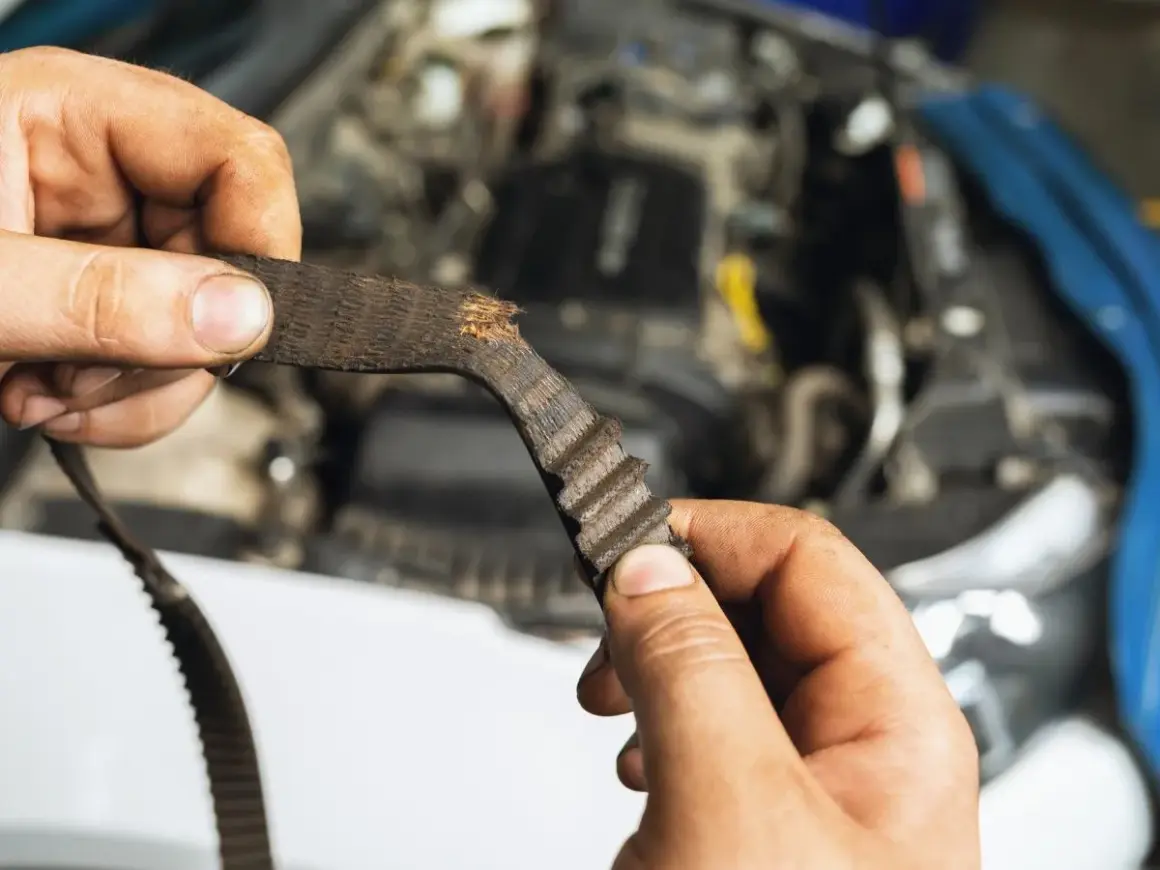 Zużyty pasek rozrządu Toyoty Aygo w rękach mechanika.
