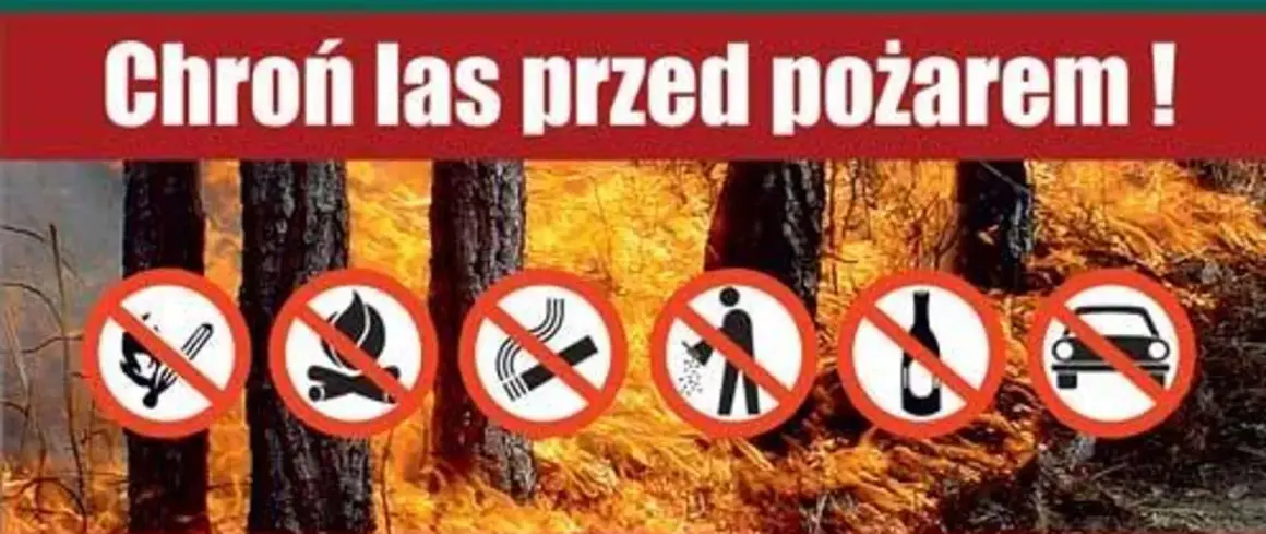 Chroń las przed ogniem! Zakaz rozpalania ogniska, palenia, śmiecenia, picia alkoholu i wjazdu samochodem.