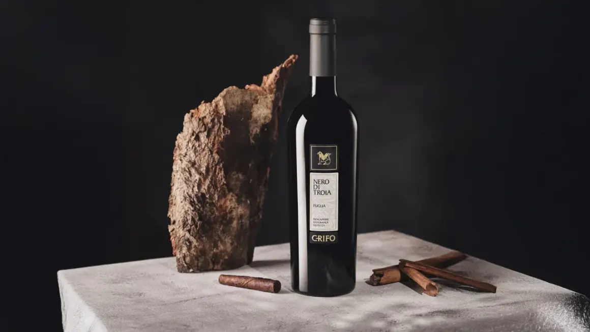 Bottiglia di vino nero di troia, con corteccia, sigaro e cannella su un tavolo di cemento.