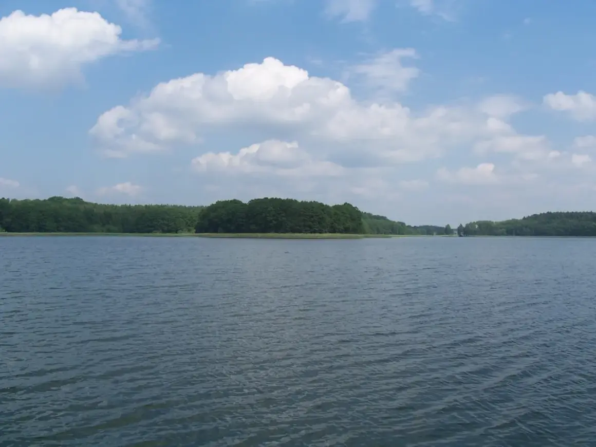 Spokojne jezioro z zielonymi lasami na horyzoncie i białymi chmurami na niebieskim niebie.