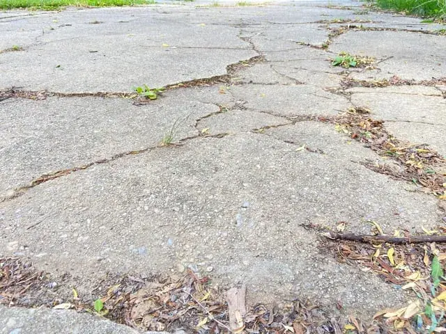 Renowacja betonowego podjazdu: Odnowa krok po kroku z ekspertem