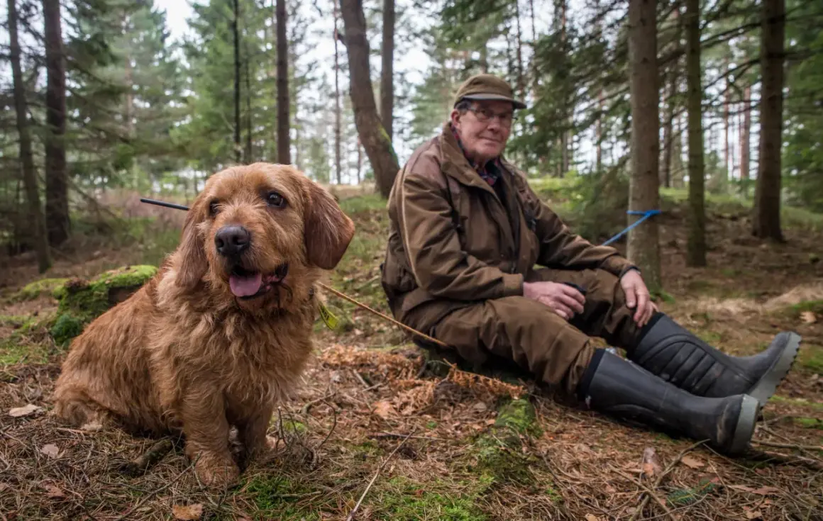 En man i skogen vilar bredvid sin trogna diabetes hund.