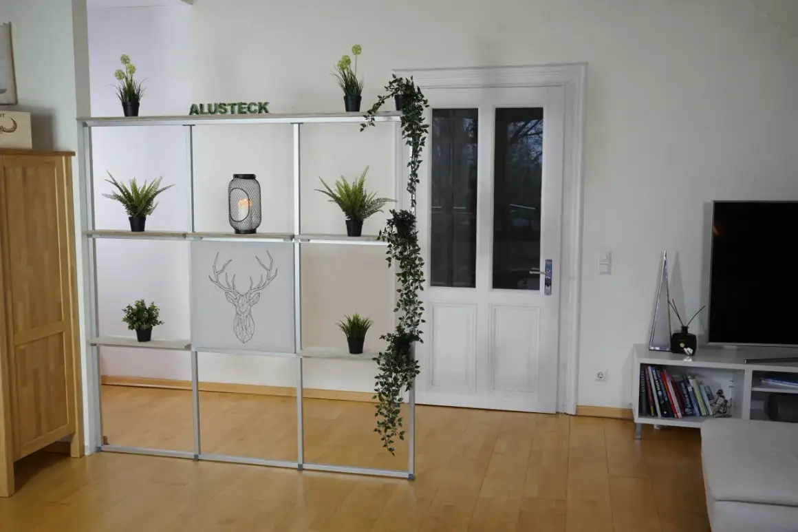 Ein Regal mit Pflanzen und Deko hilft, den Raum optisch zu trennen. Eine Tür und ein Fernseher sind im Hintergrund zu sehen.