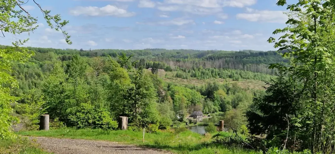 Grüne Hügel und Wälder säumen die Eckenhagen Route. Ein kleiner Teich mit einem Haus liegt eingebettet in der Landschaft.