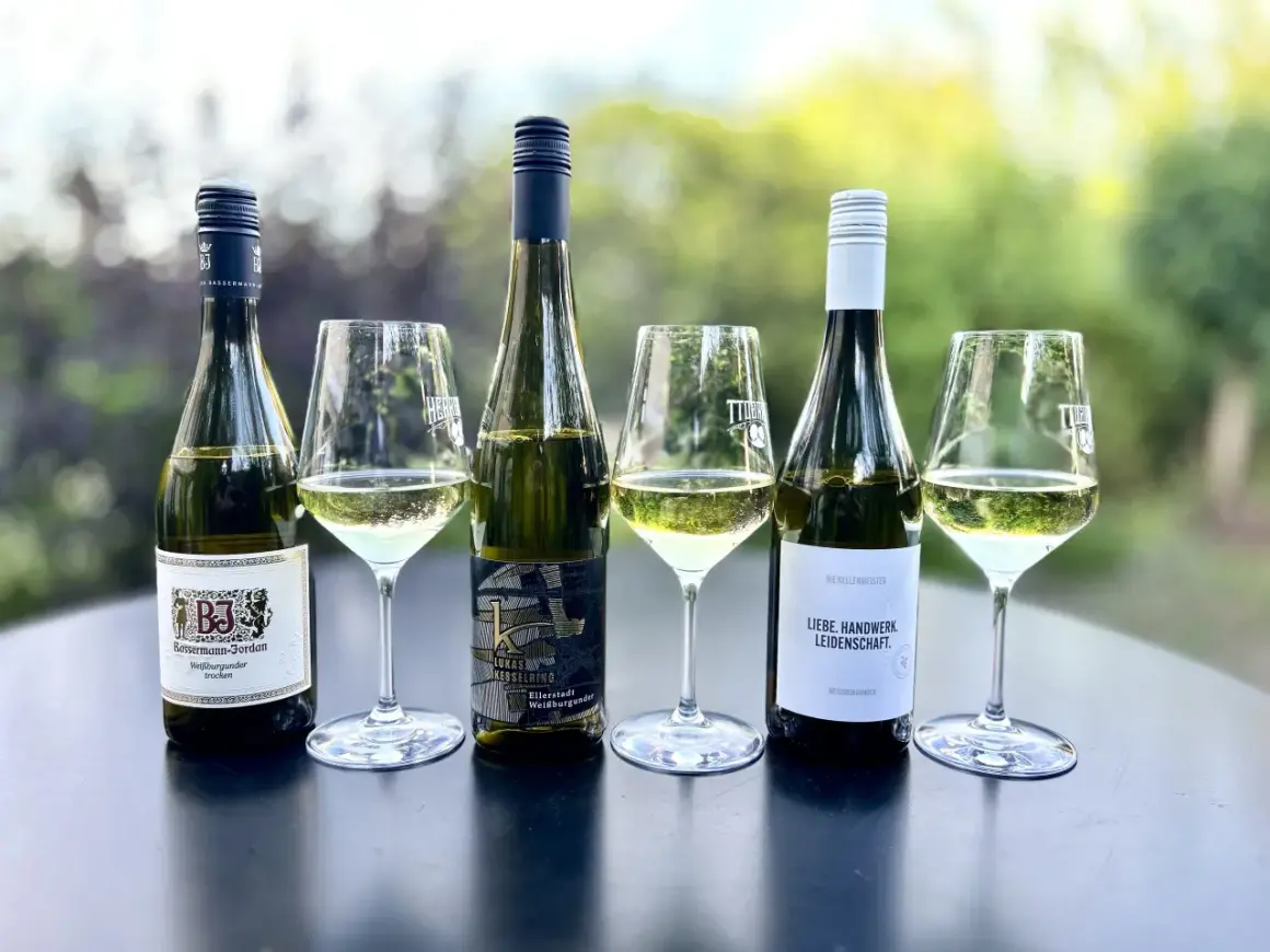 Verkostung von Weißburgunder: Ein Vergleich zwischen verschiedenen Weingütern. Der Unterschied zwischen Riesling und Chardonnay ist hier nicht direkt ersichtlich, aber die Vielfalt des Weißburgunders wird gezeigt.