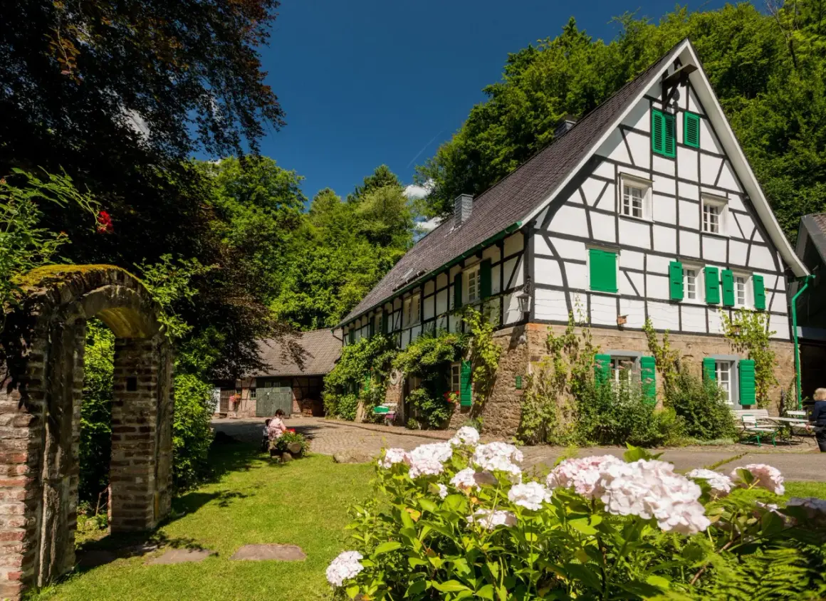 Fachwerkhaus mit grünen Fensterläden, umgeben von üppiger Natur. Ein idyllischer Ort für genuss wandern und Entspannung.