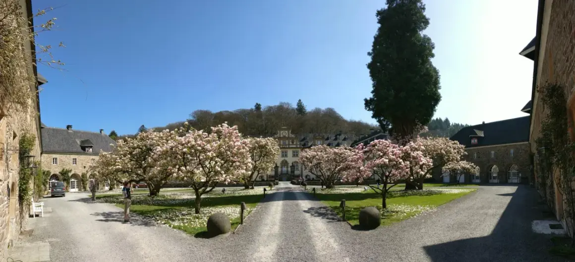 Blühende Magnolien vor historischem Gebäude. Vielleicht finden heute hier Veranstaltungen in Engelskirchen statt.