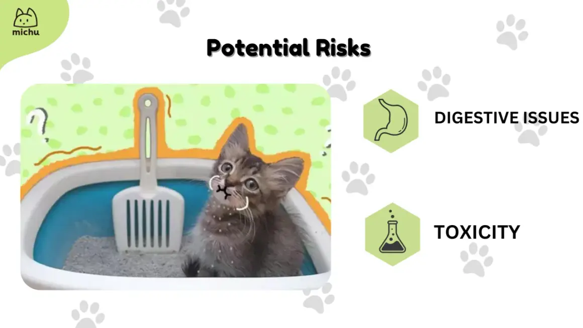 Un chaton curieux semble manger sa litière, soulevant des questions sur les risques digestifs et de toxicité.
