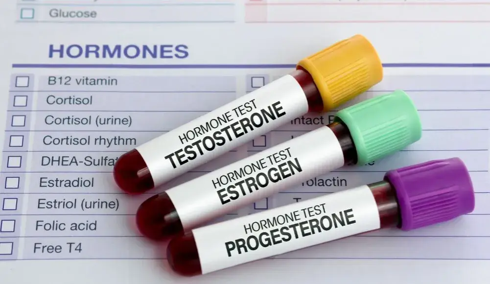 Kiedy badać estradiol, aby uniknąć problemów zdrowotnych?