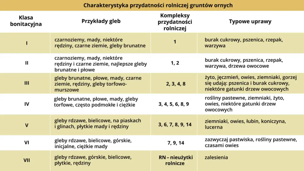 Tabela klasyfikacji gruntów ornych: klasa IV obejmuje gleby brunatne, płowe, mady, torfowe, podmokłe i ciężkie, nadające się pod uprawy pastewne, ziemniaki, żyto, owies i drzewa owocowe.