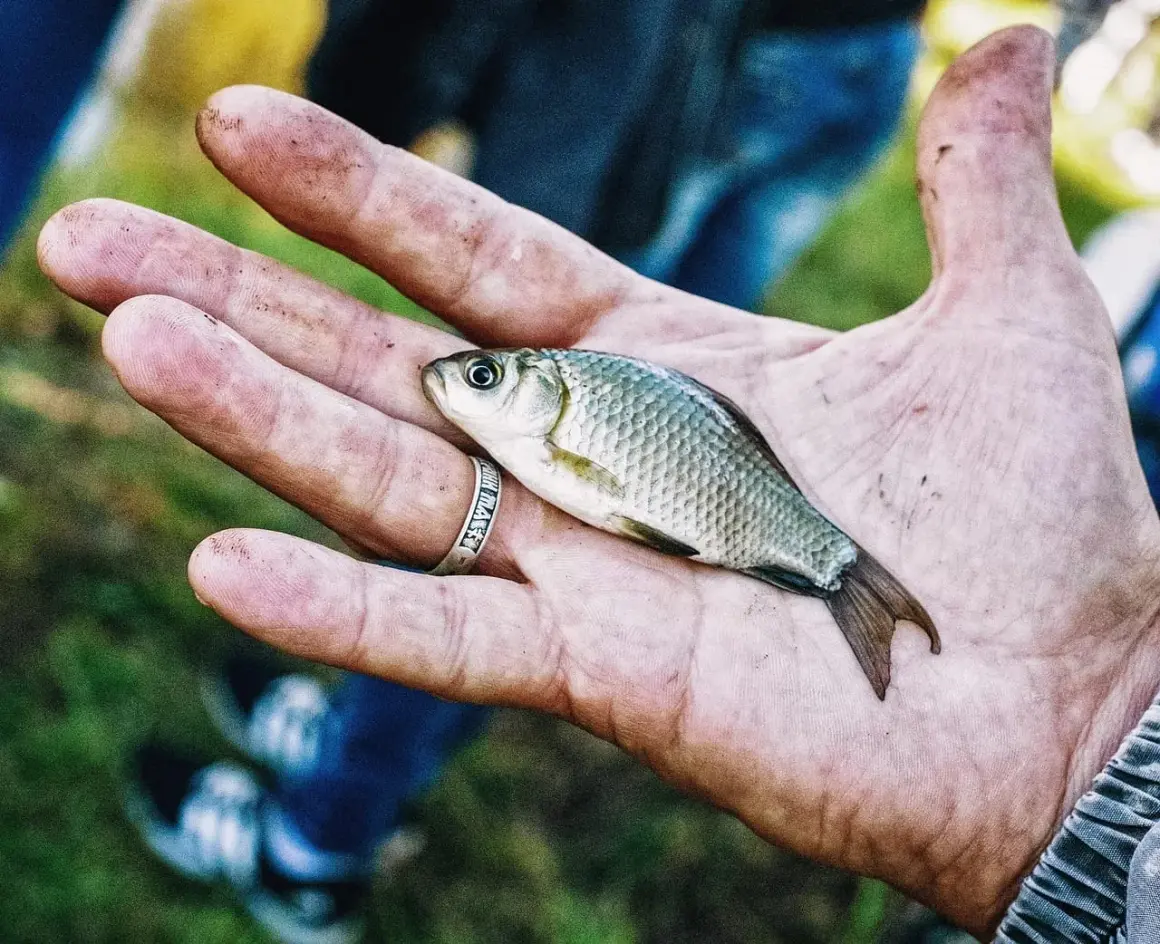 Czy dzisiaj biorą ryby? Sprawdź niską aktywność i najlepsze godziny
