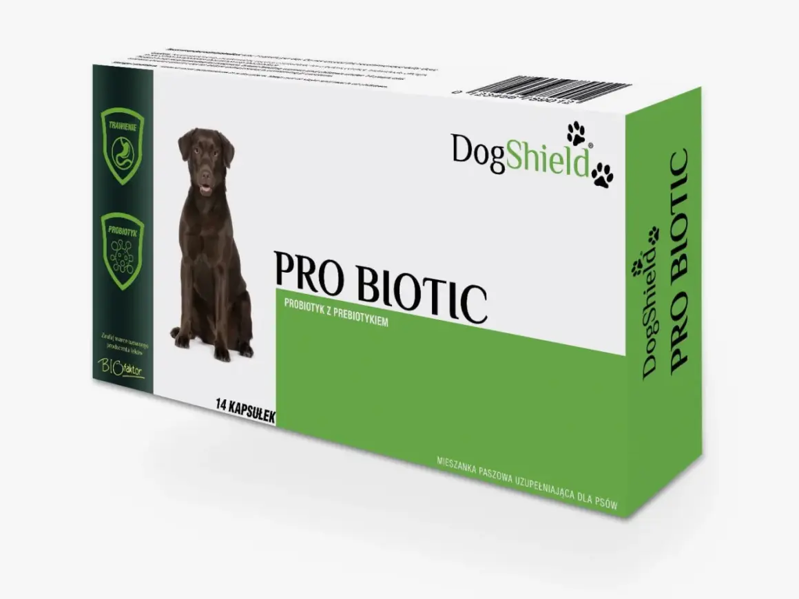 Opakowanie DogShield Pro Biotic z czekoladowym labradorem. Domowy probiotyk dla psa wspierający trawienie. 14 kapsułek.
