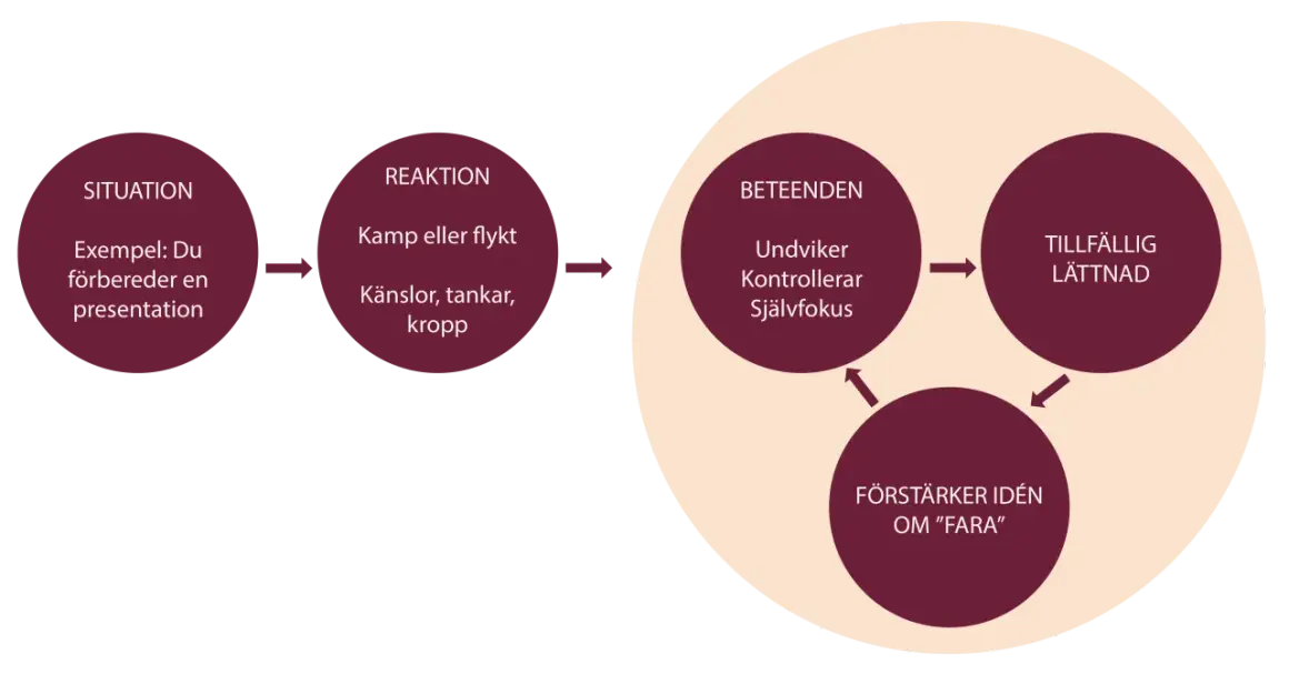 Schema visar hur en situation (t.ex. presentation) leder till reaktion (kamp/flykt, känslor) och beteenden (undviker, kontrollerar) som ger tillfällig lättnad, men förstärker idén om fara. Kan liknas vid panikångest av alkohol.