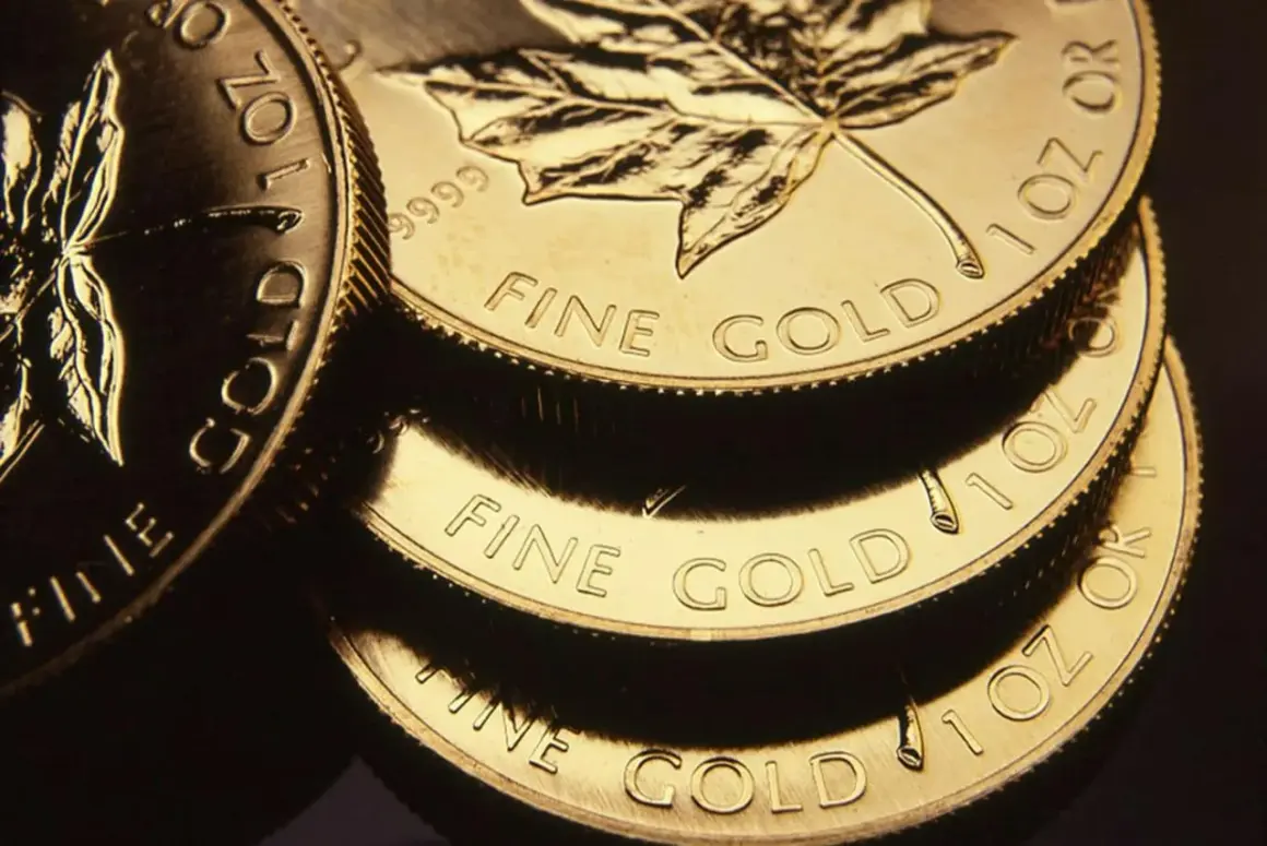 Stosik błyszczących monet ze złota inwestycyjnego z liściem klonu. Napisy "FINE GOLD" i "1 OZ" są wyraźnie widoczne.