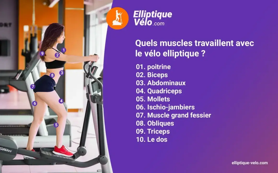 Une femme s'entraîne sur un vélo elliptique, illustrant les nombreux **vélo elliptique bienfaits** pour le corps, ciblant poitrine, bras, abdos, jambes et dos.