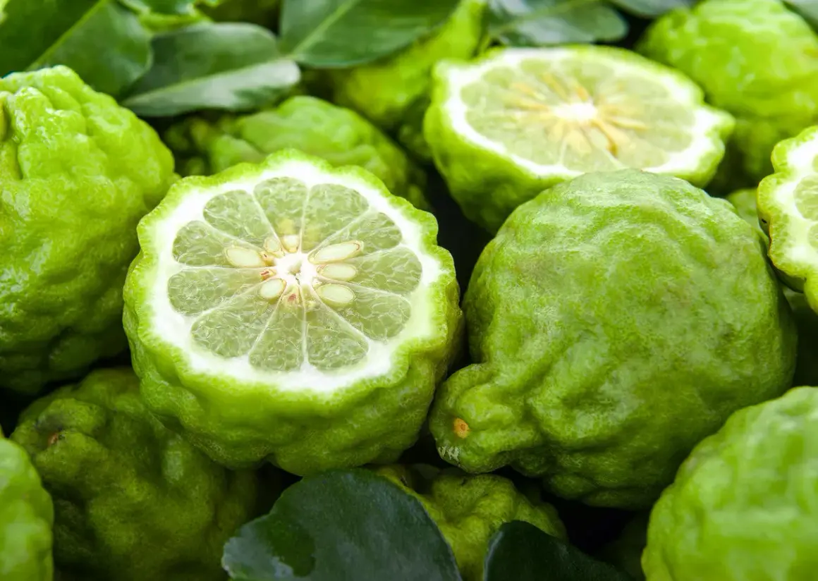 Bergamotas verdes, algunas enteras y otras cortadas por la mitad, revelan su pulpa jugosa y semillas.