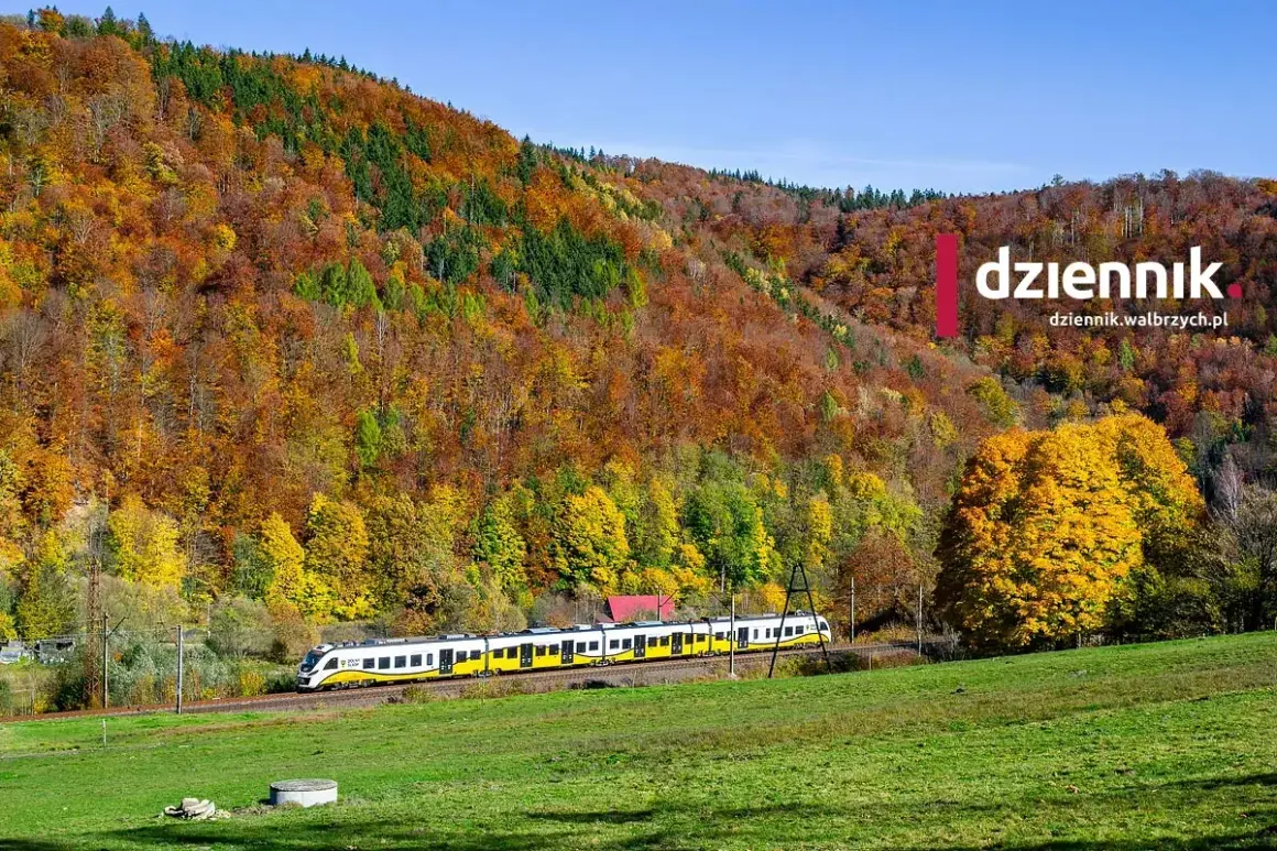 Pociąg mija jesienny las w Bielawie koło Wrocławia. Kolorowe drzewa i zielona łąka tworzą malowniczy krajobraz.