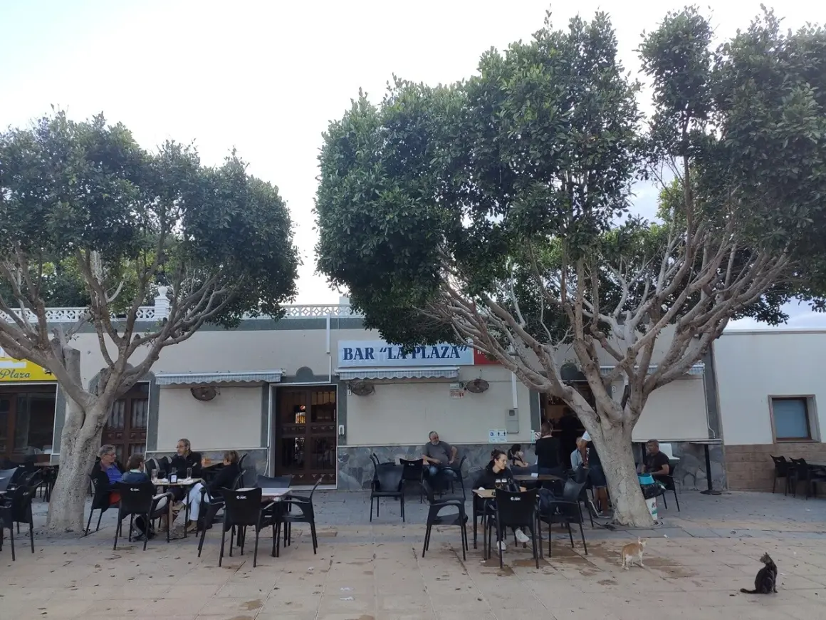 Gente disfrutando en la terraza de "Bar La Plaza", uno de los mejores restaurantes de Cabo de Gata, bajo la sombra de árboles frondosos.