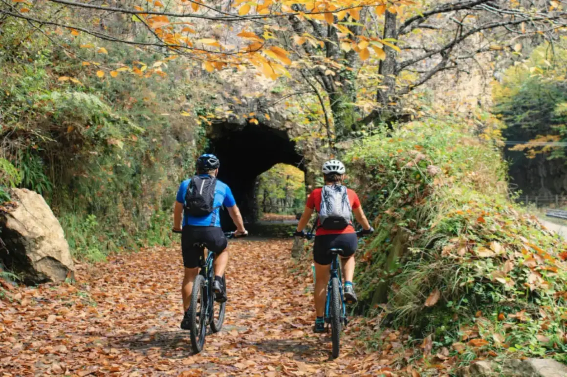 Ciclistas pedalean por la senda del oso Asturias, cubierta de hojas otoñales, hacia un túnel natural.
