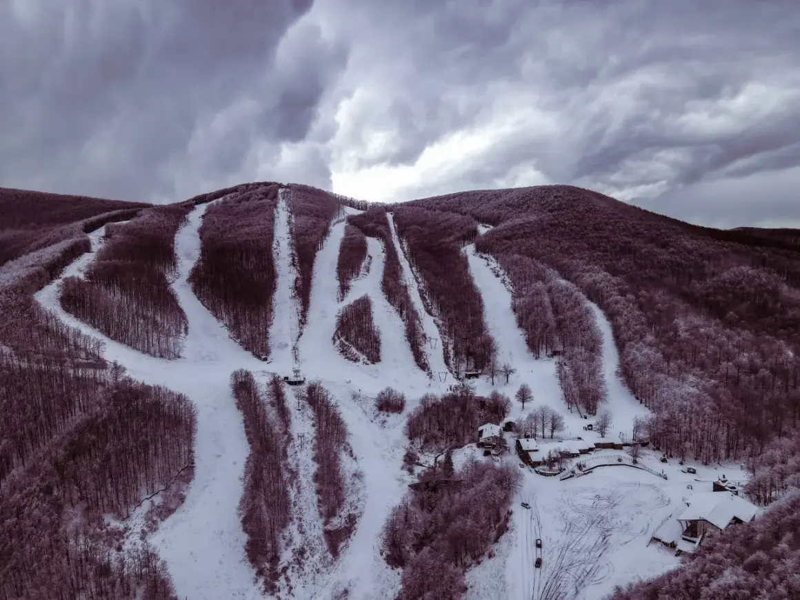 Piste innevate sul monte Zum Zeri, con alberi spogli e cielo nuvoloso.