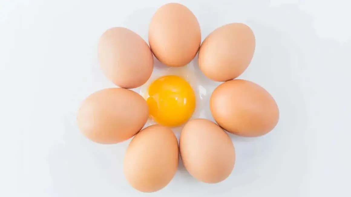Sieben braune Eier sind kreisförmig angeordnet, mit einem aufgeschlagenen Ei in der Mitte. Ein Ei hat etwa 6 Gramm Protein.