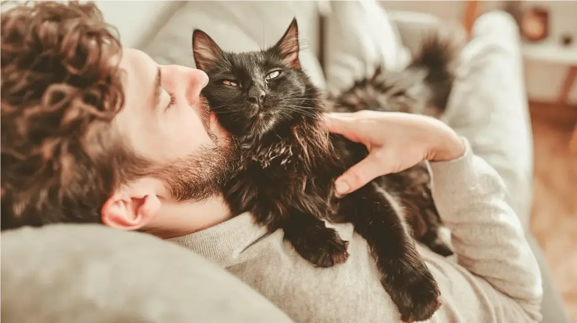 Un homme câline son chat noir. Le chat patoune sur sa poitrine, signe de bien-être et d'affection.