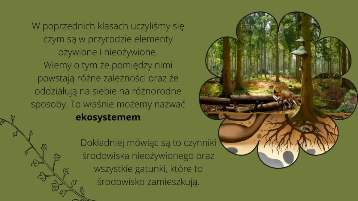 Co to jest szata roślinna i dlaczego jest kluczowa dla ekosystemu?