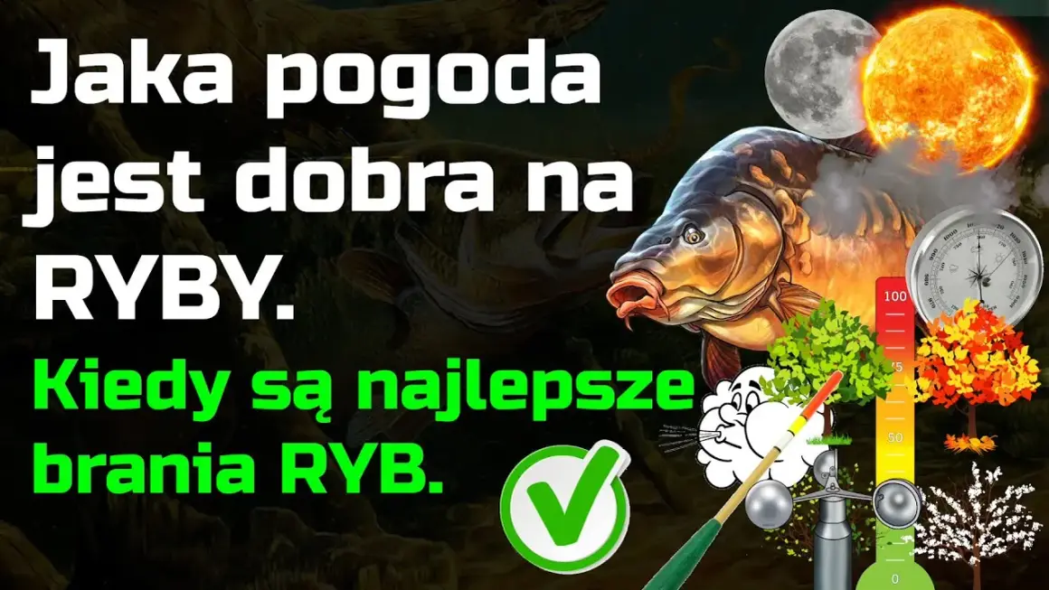 Jaka pogoda na ryby? Rozszyfruj prognozę i łów skuteczniej!
